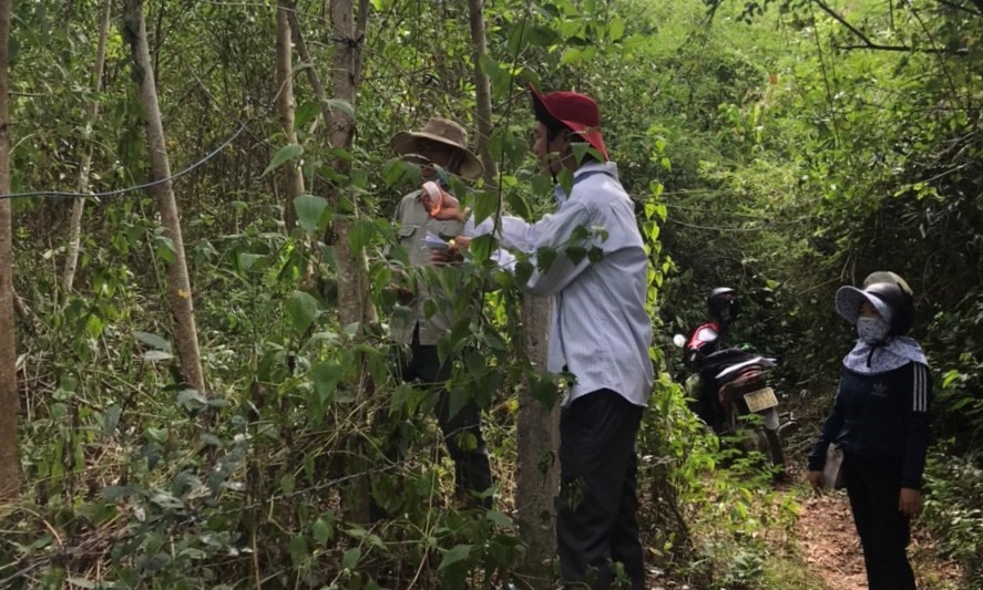 nhà máy thép hòa phát gây ô nhiễm